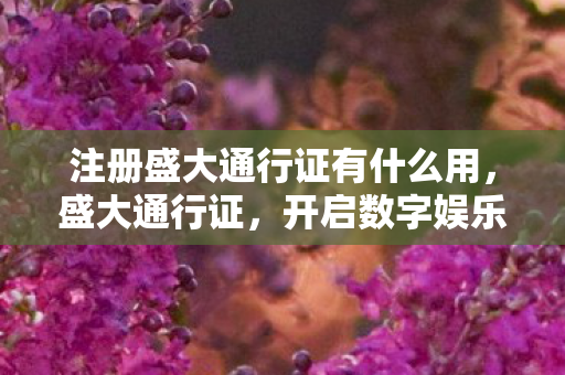 注册盛大通行证有什么用，盛大通行证，开启数字娱乐新纪元的钥匙
