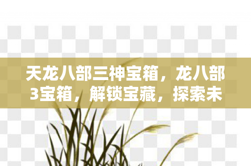 天龙八部三神宝箱，龙八部3宝箱，解锁宝藏，探索未知世界的钥匙
