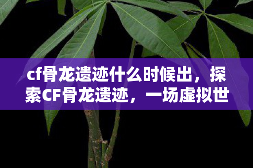 cf骨龙遗迹什么时候出，探索CF骨龙遗迹，一场虚拟世界的冒险之旅