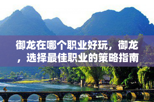 御龙在哪个职业好玩，御龙，选择最佳职业的策略指南