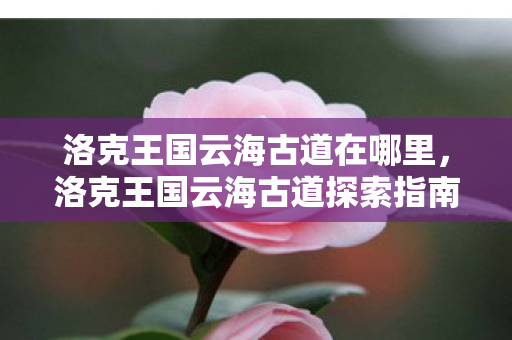 洛克王国云海古道在哪里，洛克王国云海古道探索指南