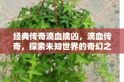经典传奇滴血擒凶，滴血传奇，探索未知世界的奇幻之旅