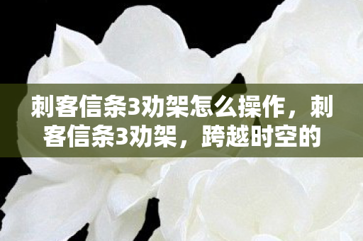 刺客信条3劝架怎么操作，刺客信条3劝架，跨越时空的和平使者
