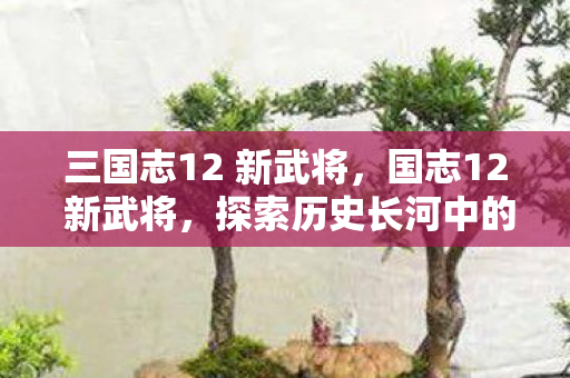 三国志12 新武将，国志12 新武将，探索历史长河中的英雄豪杰