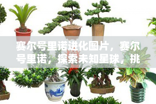 赛尔号里诺进化图片，赛尔号里诺，探索未知星球，挑战无限可能