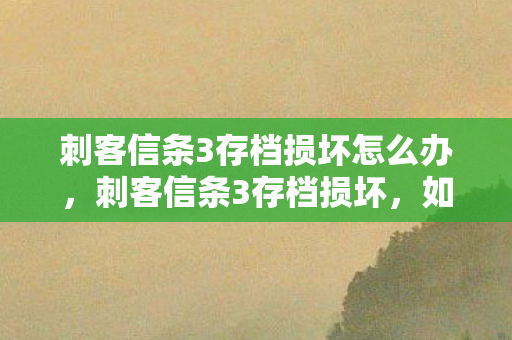 刺客信条3存档损坏怎么办，刺客信条3存档损坏，如何有效恢复与预防