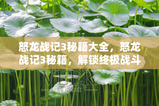 怒龙战记3秘籍大全，怒龙战记3秘籍，解锁终极战斗技巧