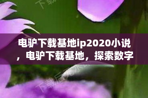 电驴下载基地ip2020小说，电驴下载基地，探索数字时代的资源分享新境界