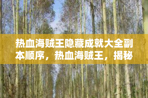 热血海贼王隐藏成就大全副本顺序，热血海贼王，揭秘那些鲜为人知的隐藏成就
