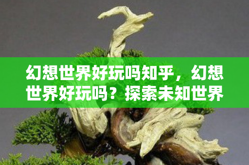 幻想世界好玩吗知乎，幻想世界好玩吗？探索未知世界的无限乐趣