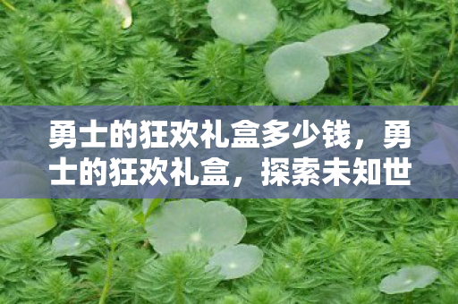 勇士的狂欢礼盒多少钱，勇士的狂欢礼盒，探索未知世界的奇妙之旅