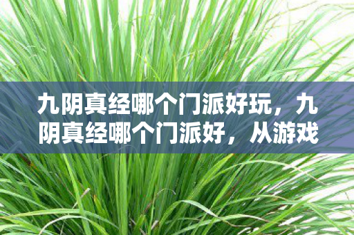 九阴真经哪个门派好玩，九阴真经哪个门派好，从游戏体验到门派特色全面剖析