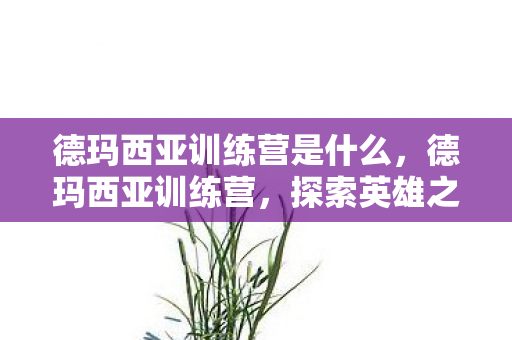 德玛西亚训练营是什么，德玛西亚训练营，探索英雄之路的起点