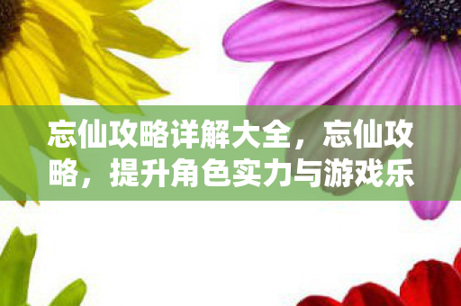 忘仙攻略详解大全，忘仙攻略，提升角色实力与游戏乐趣的全方位指南