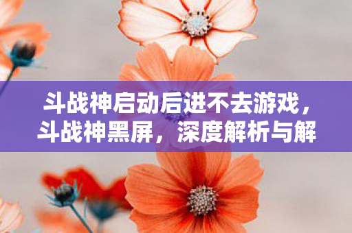 斗战神启动后进不去游戏，斗战神黑屏，深度解析与解决方案