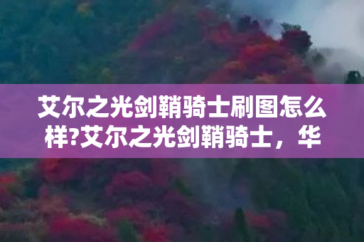 艾尔之光剑鞘骑士刷图怎么样?艾尔之光剑鞘骑士，华丽与力量的完美融合