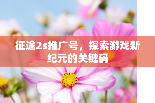 征途2s推广号，探索游戏新纪元的关键码