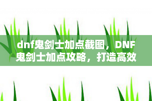dnf鬼剑士加点截图，DNF鬼剑士加点攻略，打造高效战斗力的关键