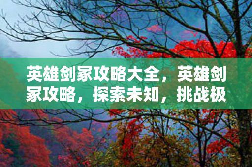 英雄剑冢攻略大全，英雄剑冢攻略，探索未知，挑战极限