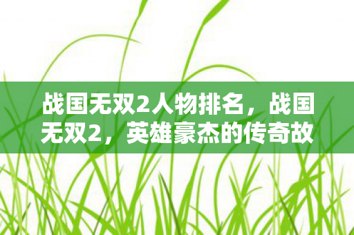 战国无双2人物排名，战国无双2，英雄豪杰的传奇故事