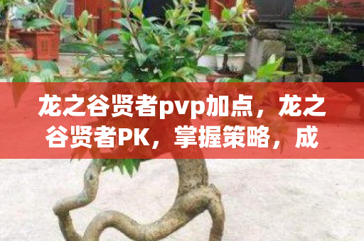 龙之谷贤者pvp加点，龙之谷贤者PK，掌握策略，成为竞技场霸主