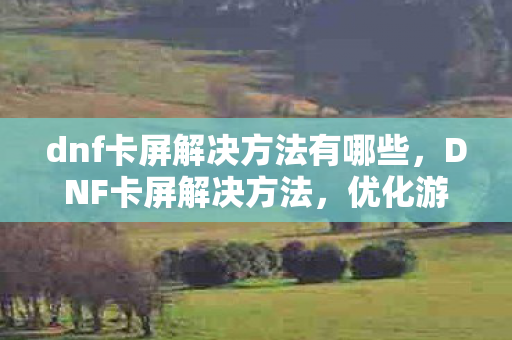 dnf卡屏解决方法有哪些，DNF卡屏解决方法，优化游戏性能，提升流畅度