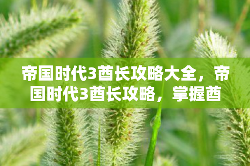 帝国时代3酋长攻略大全，帝国时代3酋长攻略，掌握酋长文明的独特魅力