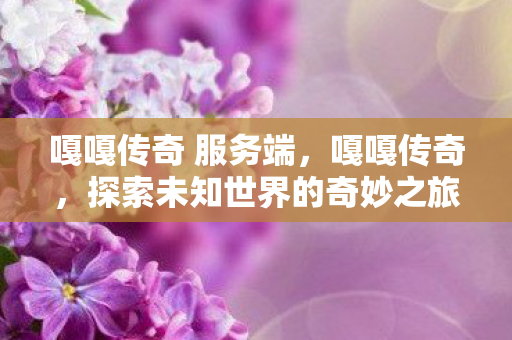 嘎嘎传奇 服务端，嘎嘎传奇，探索未知世界的奇妙之旅