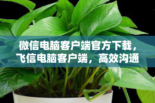 微信电脑客户端官方下载，飞信电脑客户端，高效沟通，安全办公的得力助手