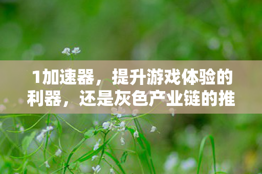 1加速器，提升游戏体验的利器，还是灰色产业链的推手？