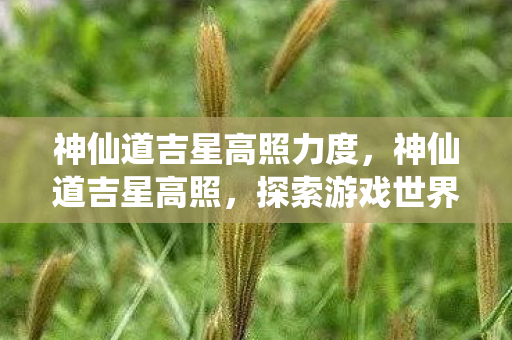 神仙道吉星高照力度，神仙道吉星高照，探索游戏世界的无限可能