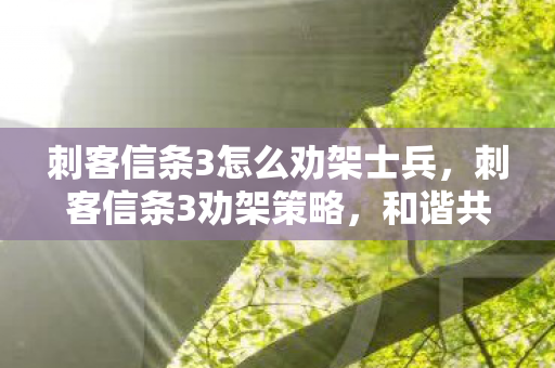 刺客信条3怎么劝架士兵，刺客信条3劝架策略，和谐共处的艺术