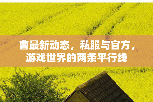 曹最新动态，私服与官方，游戏世界的两条平行线