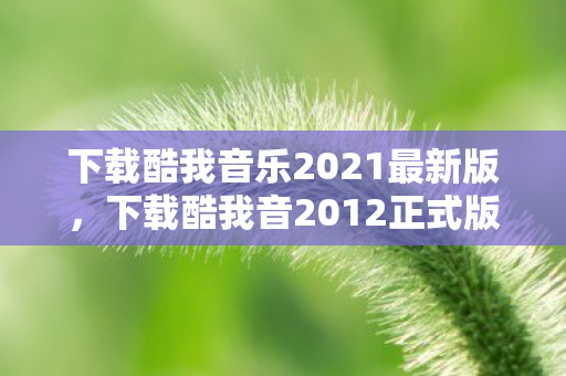 下载酷我音乐2021最新版，下载酷我音2012正式版，经典音乐的时光机
