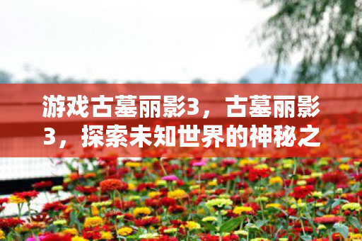 游戏古墓丽影3，古墓丽影3，探索未知世界的神秘之旅