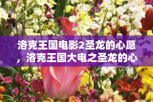 洛克王国电影2圣龙的心愿，洛克王国大电之圣龙的心愿，追寻力量的传奇之旅