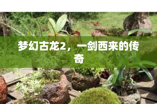 梦幻古龙2,一剑西来的传奇 梦幻古龙2,一剑西来的传奇
