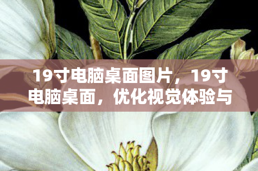 19寸电脑桌面图片，19寸电脑桌面，优化视觉体验与高效工作的完美结合