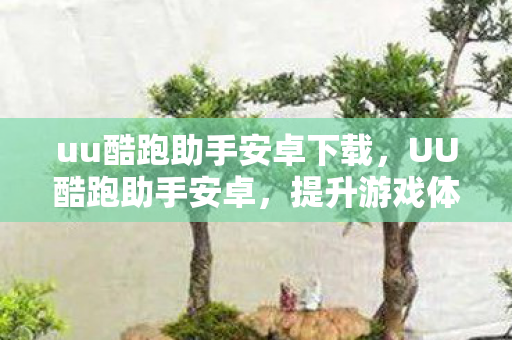 uu酷跑助手安卓下载，UU酷跑助手安卓，提升游戏体验的得力助手
