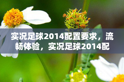 实况足球2014配置要求，流畅体验，实况足球2014配置需求解析