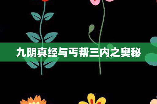 九阴真经与丐帮三内之奥秘 九阴真经与丐帮三内之奥秘
