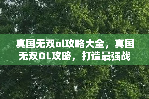 真国无双ol攻略大全，真国无双OL攻略，打造最强战力的全面指南