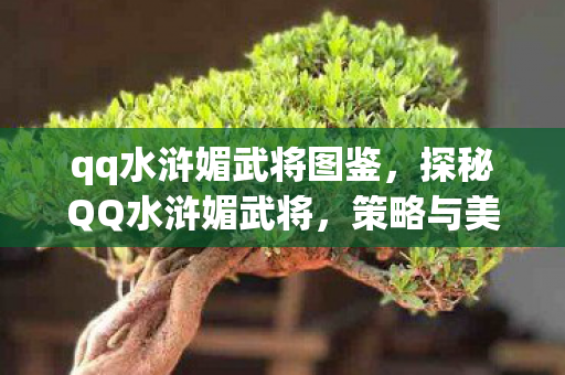 qq水浒媚武将图鉴，探秘QQ水浒媚武将，策略与美貌并存的战场艺术