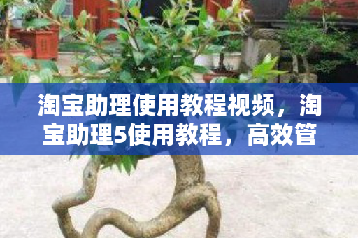 淘宝助理使用教程视频，淘宝助理5使用教程，高效管理淘宝店铺的必备工具