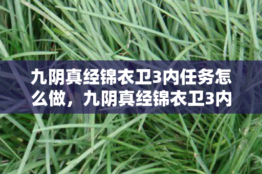 九阴真经锦衣卫3内任务怎么做，九阴真经锦衣卫3内任务详解