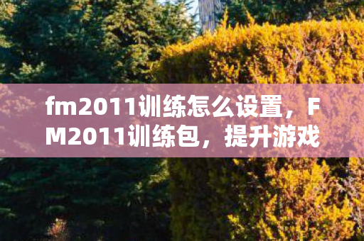 fm2011训练怎么设置，FM2011训练包，提升游戏技能与策略的智慧之源