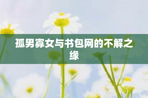 孤男寡女与书包网的不解之缘