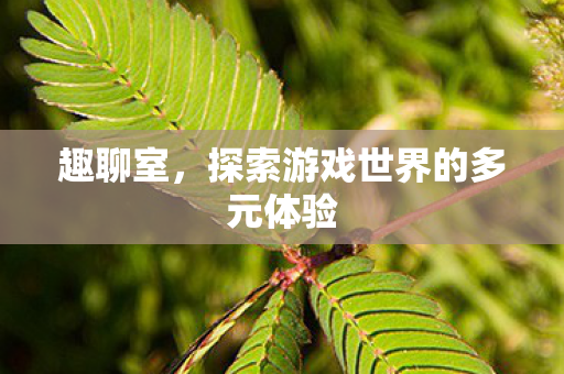 趣聊室，探索游戏世界的多元体验