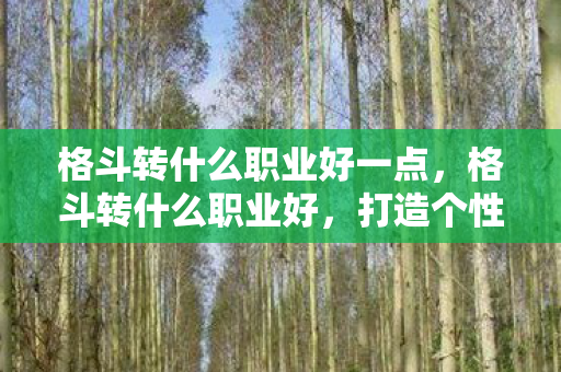 格斗转什么职业好一点，格斗转什么职业好，打造个性化职业路径的指南