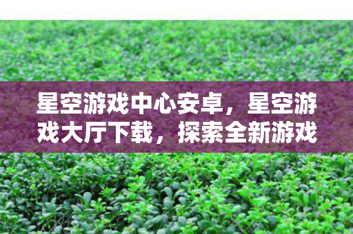 星空游戏中心安卓，星空游戏大厅下载，探索全新游戏体验的便捷途径